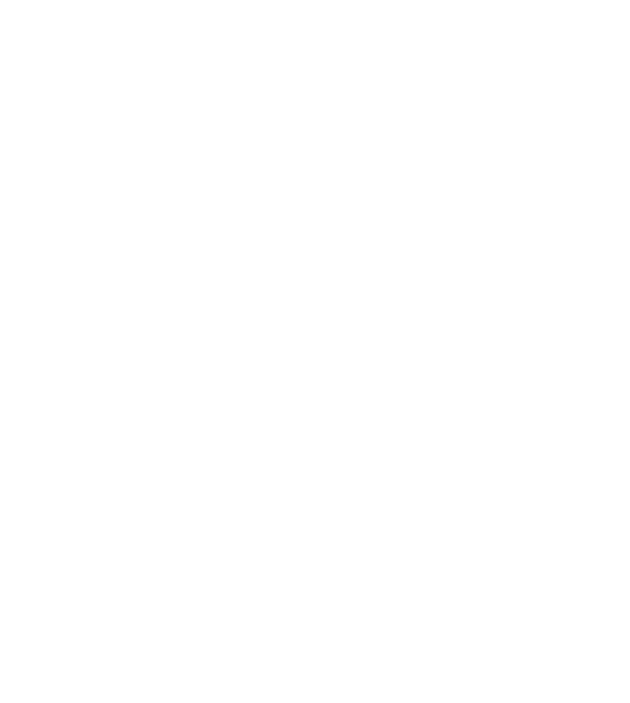 Brasão da Brave Worship School